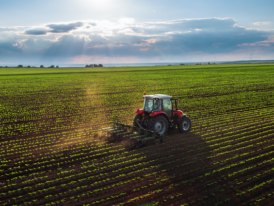 Ekonomik Büyüme: Tarımı Kurtaracak mı, Yoksa Daha Fazla Zarar mı Verecek?