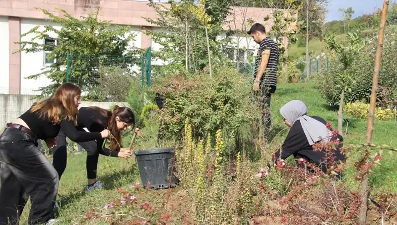 Düzce'de Başlayan Hayal, Dünya Çapında Başarıya Dönüştü!
