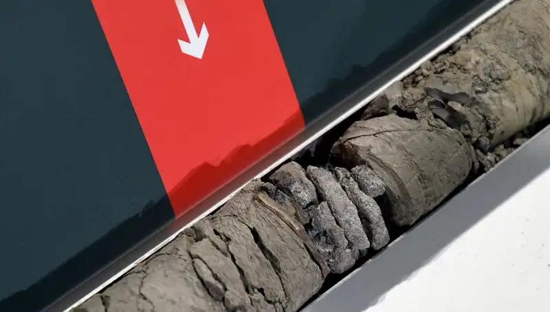 Müze Otoparkının Altında Keşfedilen Dinozor Fosili, Bilim Dünyasını Sarstı