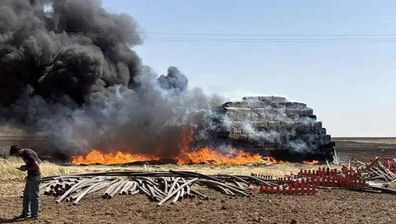 Mardin'de Anız Yangınları Hayatı Olumsuz Etkiliyor: Çiftçiler Ne Yapmalı?