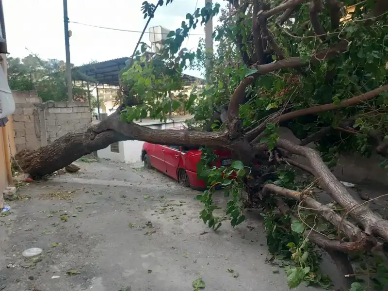 Hatay'da Fırtınanın Yıktığı Şehir: Ağaçlar Devriye, Çatılar Uçtu!