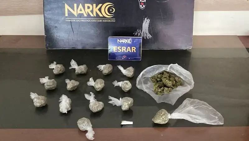 Kamyonetteki Gizli Yük: 100 Gram Esrar Yakalandı, Sürücü Tutuklandı