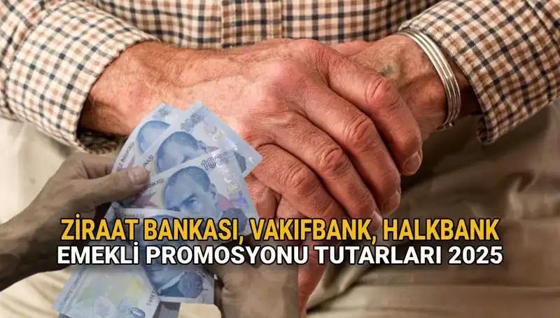 2025'te Emeklilere Beklenen Promosyon Artışları: Kamu Bankaları Neler Sunuyor?