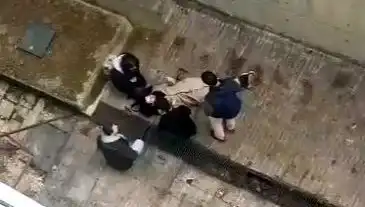 Kampüste Köpek Paniği: Öğrenci Betona Düştü, Sırtında Yaralarla Kurtarıldı