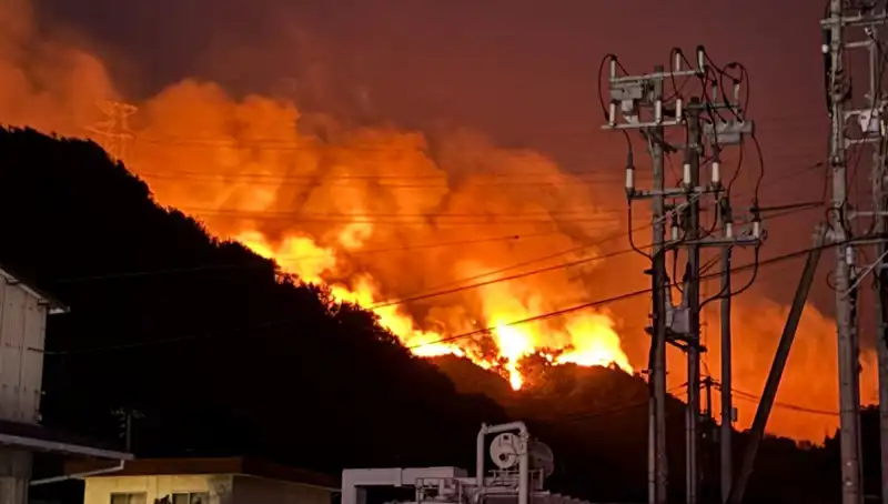 Japonya'da Yangın Tehlikesi: İki Eyalet Alevlere Düşmüş Durumda