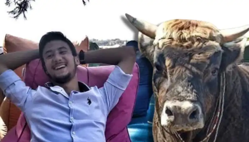 Aydın'da Şoke Eden Olay: Güreş Boğası Can Aldı!