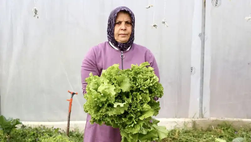 Emeklilikte Yeni Bir Başlangıç: Devlet Desteğiyle Hayalini Gerçekleştirdi