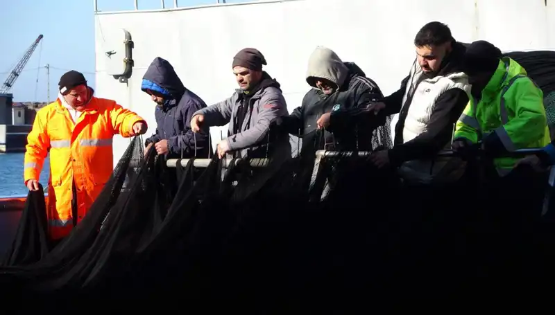 Hamsi Avında Beklenmedik Tehlike: Tekneler Erken Akşam Pazarı Yaptı