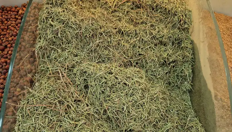 Yaz Aylarında İnternette Satışı Artan Tehlikeli Ürünler ve Sonuçları