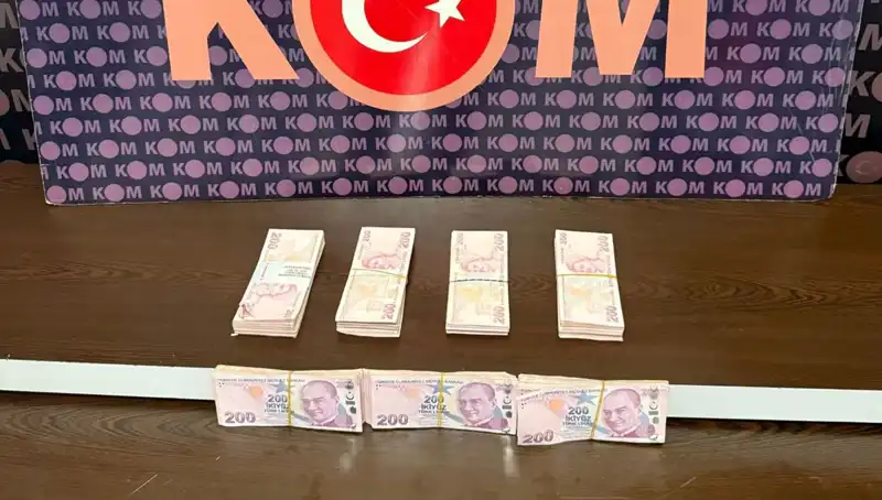 Orman Memurlarına Rüşvetten Şok Tutuklama: Yolsuzluğun Gerçek Yüzü Ortaya Çıktı