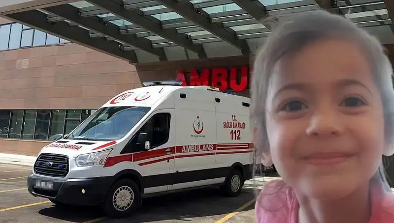 8 Yaşındaki Roza'nın Kaybı: Acı Haberle Sarsıldık