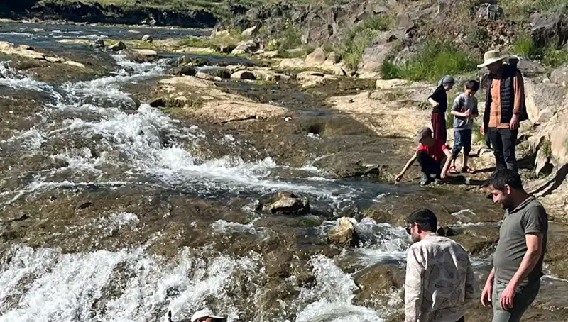 Binlerce Kilometre Uzaklıktan Gelen İnci Kefali: Göçün Sırları