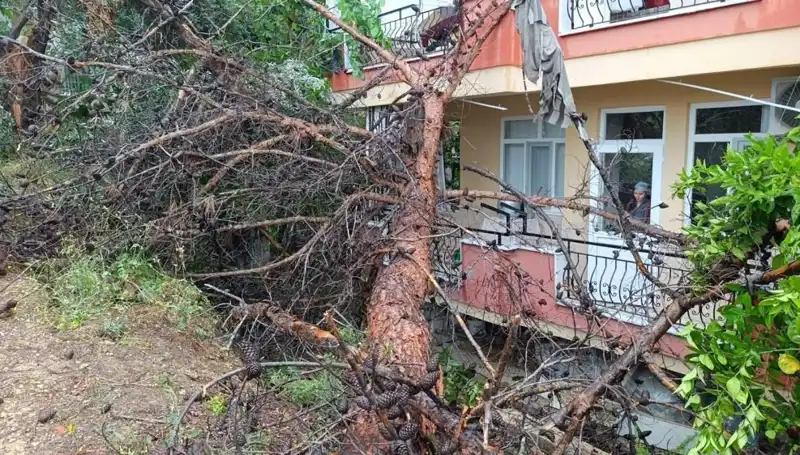 : Şiddetli Yağışlar Açık Hava Binasını Yıktı: Yaralılar Var mı?