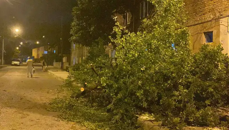 Karabük'te Şiddetli Fırtına Can ve Mal Kaybına Yol Açtı