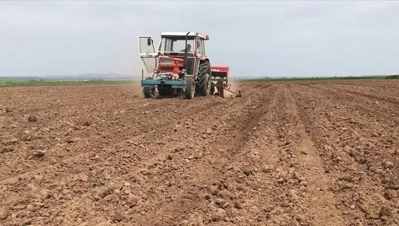 Son 35 Yılın En Kurak Mart Ayı: Yağış Oranı Yüzde 59 Düştü