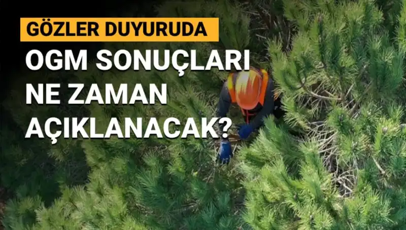 OGM Personel Alımı Duyurusu: 3 Bin 477 Sözleşmeli Personel Sonuçları Ne Zaman Açıklanacak?