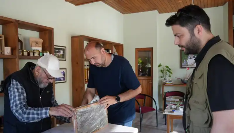 Şifa ve Zehir Arasında İnce Bir Çizgi: Sakıncalı Bitkinin Gizemi
