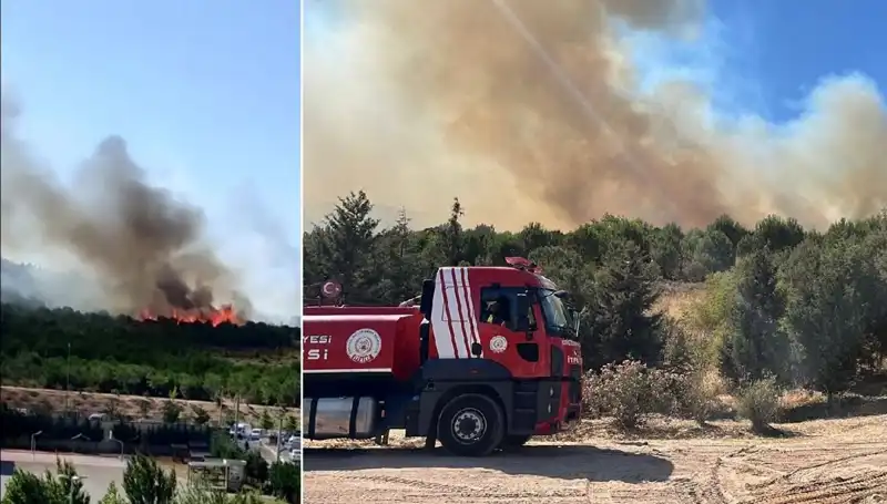 Gebze'de Şok Etkisi Yaratan Orman Yangını: Nedenleri ve Sonuçları