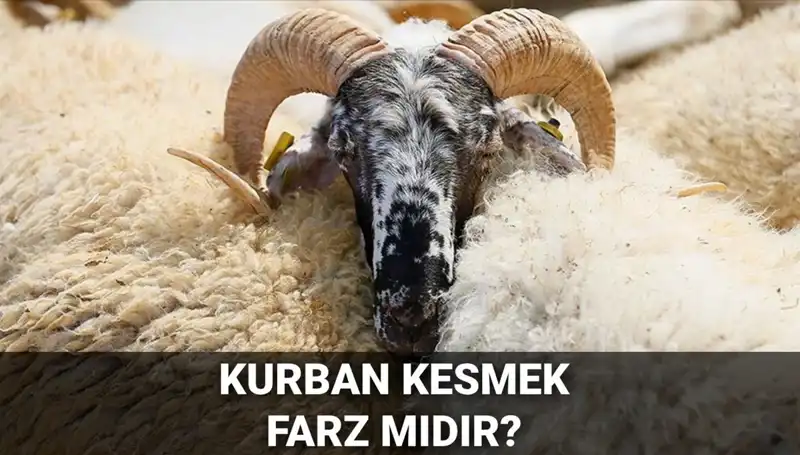 Kurban Kesmek Farz mı? Diyanet’in Görüşleri ve Şartları