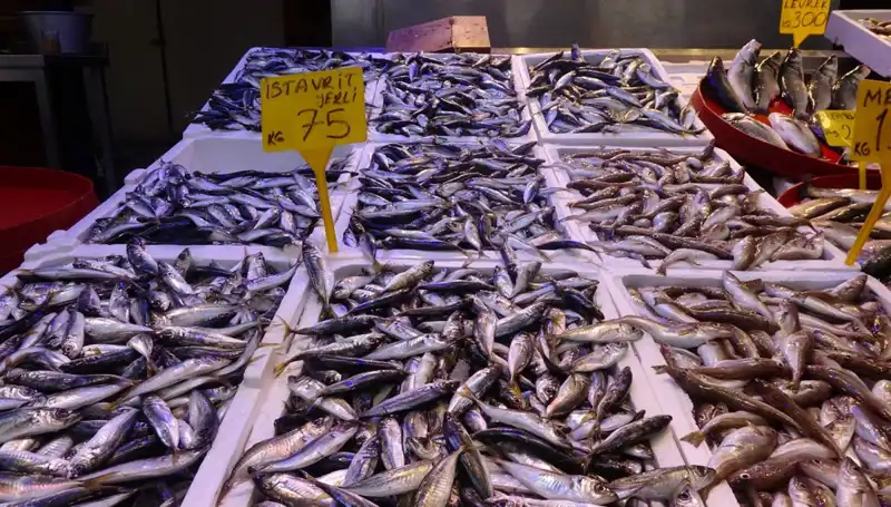 Balık Sezonu Sona Ererken, Balıkçılar ve Tutkunları Neler Yaşadı?