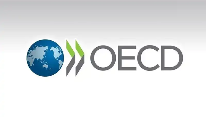 Türkiye Ekonomisi İçin Yeni Büyüme Tahmini: OECD’den Önemli Açıklama!