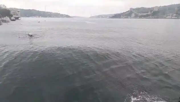 İstanbul Boğazı'nda Dalgalar Yükseldi: Ulaşımda Aksamalar ve Güvenlik Endişeleri