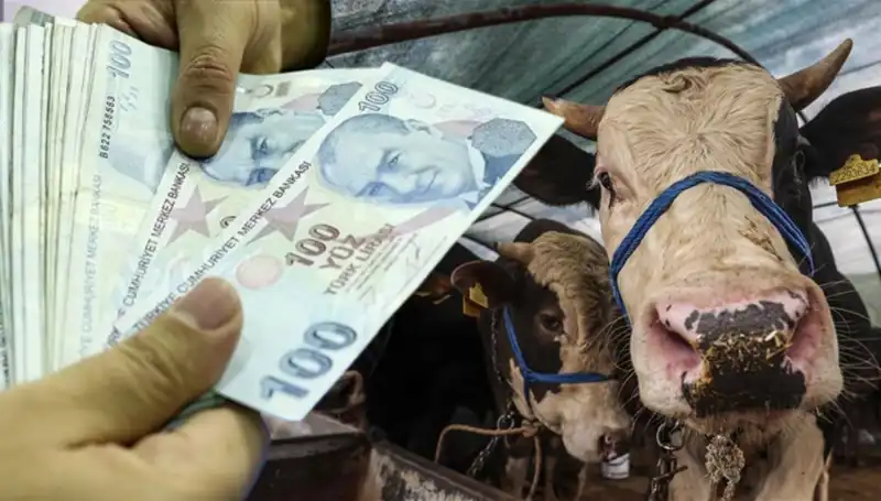 Bayram Öncesi Maaşlar Ne Zaman Yatacak? Emekliler ve Memurlar Bekliyor!