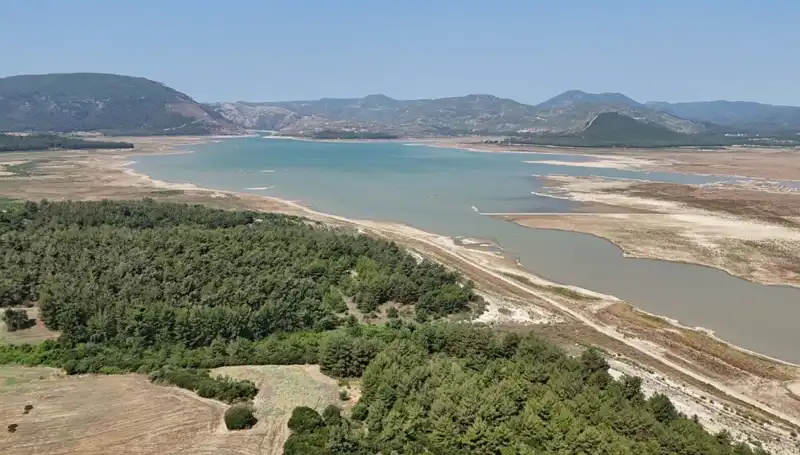 İzmir'de Tehlike Çanları: Suça Karışma Oranı Geçen Yıla Göre Yüzde 50 Düştü